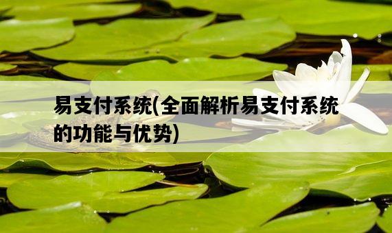易支付系統，全面解析易支付系統的功能與優勢-圖1