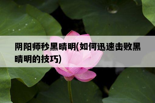 陰陽師秒黑晴明，如何迅速擊敗黑晴明的技巧-圖1