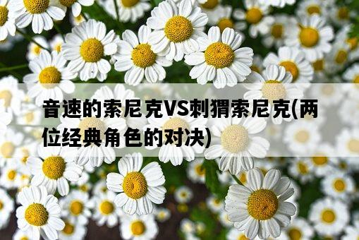 音速的索尼克VS刺猬索尼克，兩位經典角色的對決-圖1