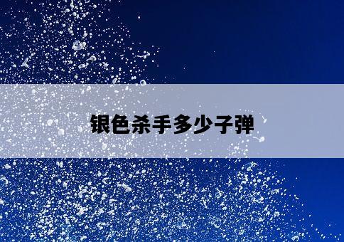 銀色殺手多少子彈-圖1