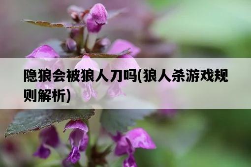 隱狼會被狼人刀嗎，狼人殺游戲規則解析-圖1