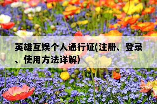 英雄互娛個人通行證，注冊、登錄、使用方法詳解-圖1