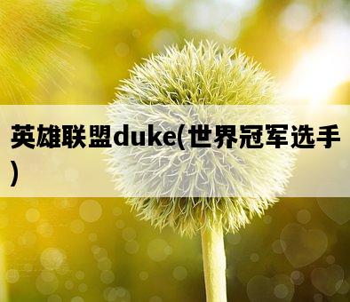 英雄聯盟duke，世界冠軍選手-圖1