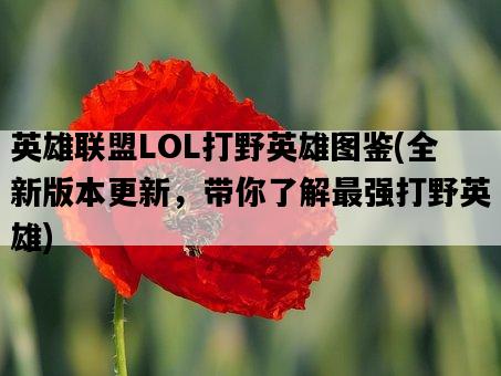 英雄聯盟LOL打野英雄圖鑒，全新版本更新，帶你了解最強打野英雄-圖1