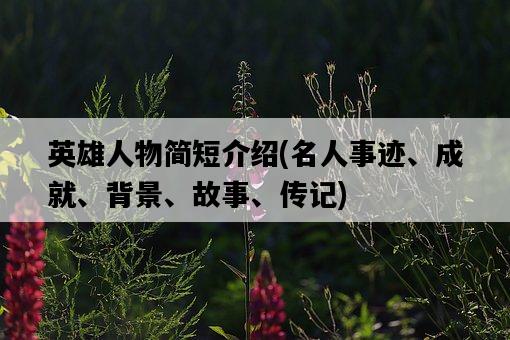 英雄人物簡短介紹，名人事跡、成就、背景、故事、傳記-圖1