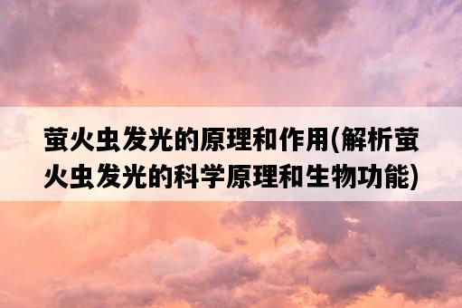 螢火蟲發光的原理和作用，解析螢火蟲發光的科學原理和生物功能-圖1