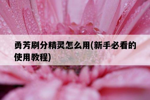 勇芳刷分精靈怎么用,新手必看的使用教程-圖1 勇芳刷分精靈怎么用,新手必看的使用教程-圖1