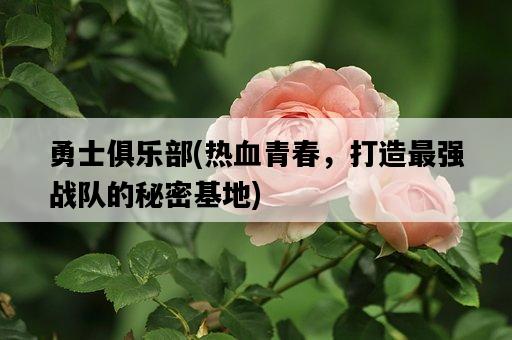 勇士俱樂部，熱血青春，打造最強戰隊的秘密基地-圖1