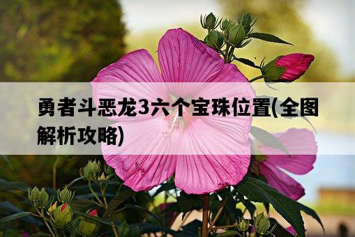 勇者斗惡龍3六個寶珠位置,全圖解析攻略-圖1 勇者斗惡龍3六個寶珠位置,全圖解析攻略-圖1