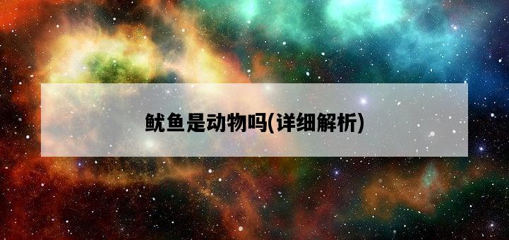魷魚是動物嗎，詳細解析-圖1